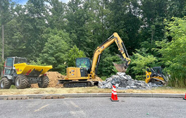 Vegetation Management