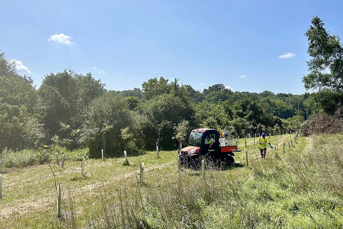 A worker in a safety vest uses handheld tools near a utility vehicle in a sunny, green field with young trees and dense foliage.